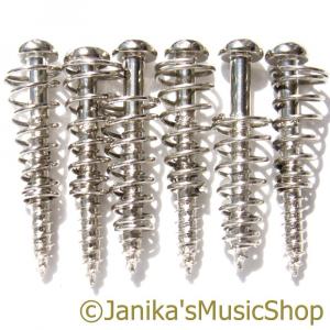 6 STRAT PICKUP SCREWS AND SPRINGS CHROME